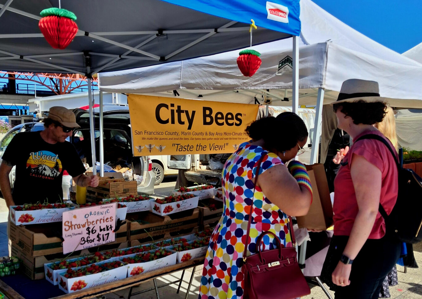 City bees