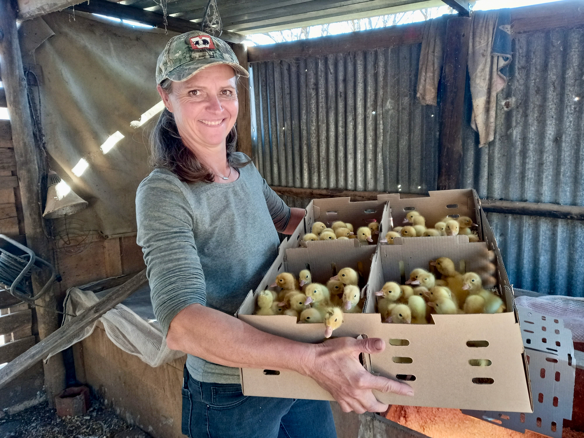 Vanessa with day-old ducklings.