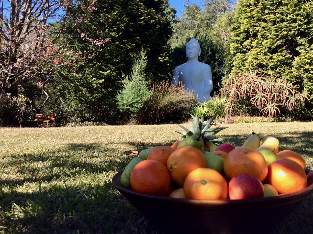 Buddha and fruit bowl at Buddhist Retreat Centre
