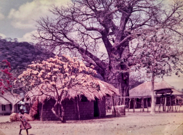 Cape Maclear Malawi